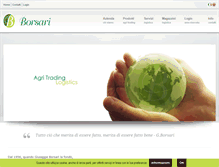 Tablet Screenshot of borsarigroup.com